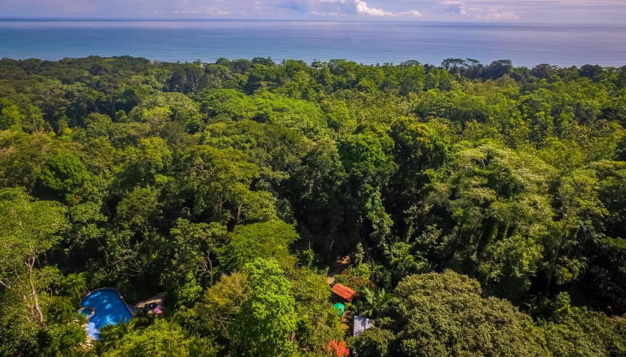 The Goddess Garden Eco-Resort Cahuita Esterno foto