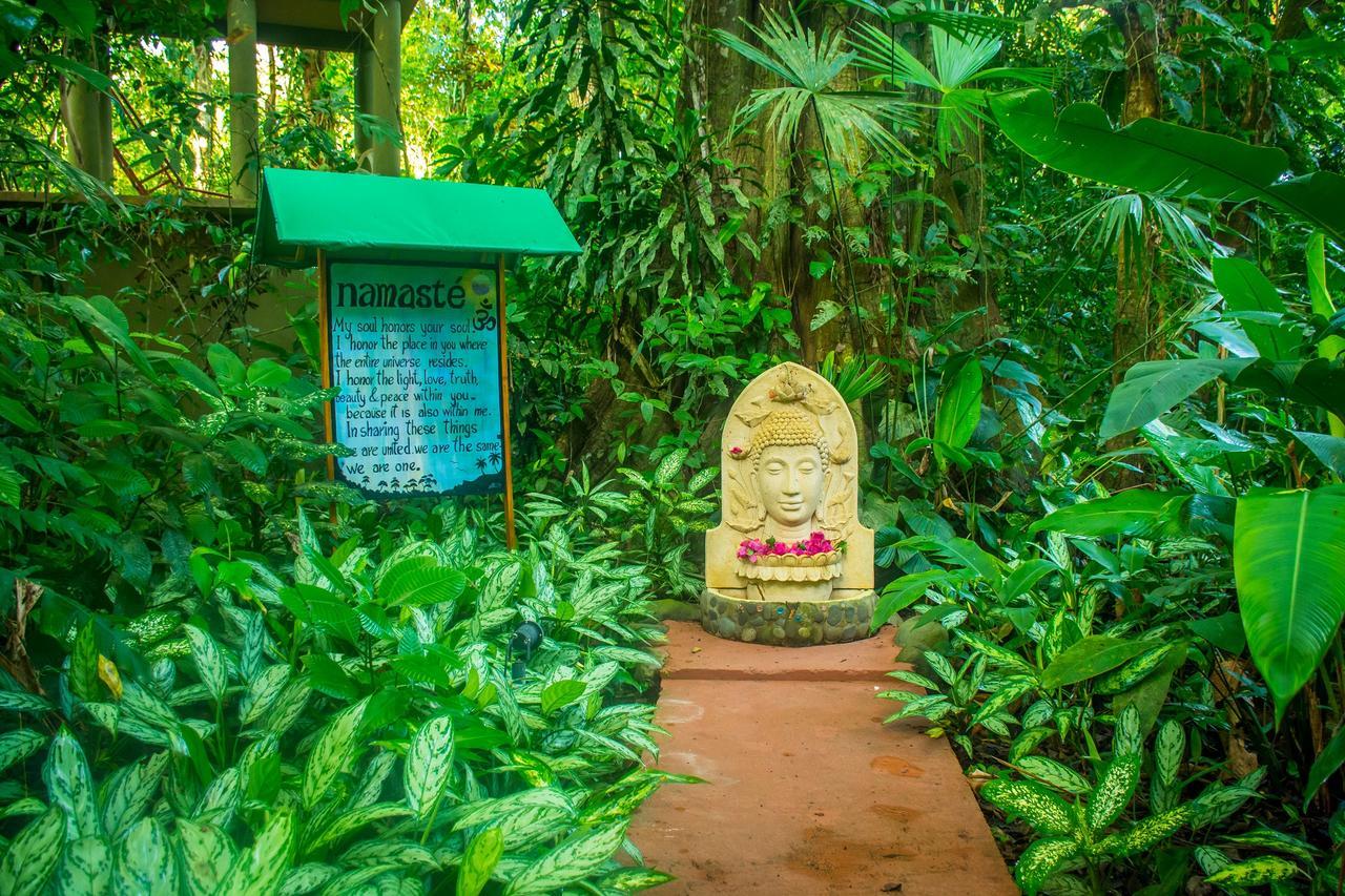 The Goddess Garden Eco-Resort Cahuita Esterno foto